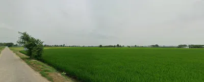Fagan Majra, Punjab 147006, India preview 3