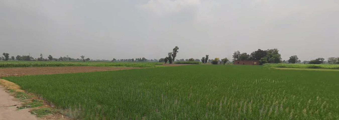 Dittupur, Punjab, India
