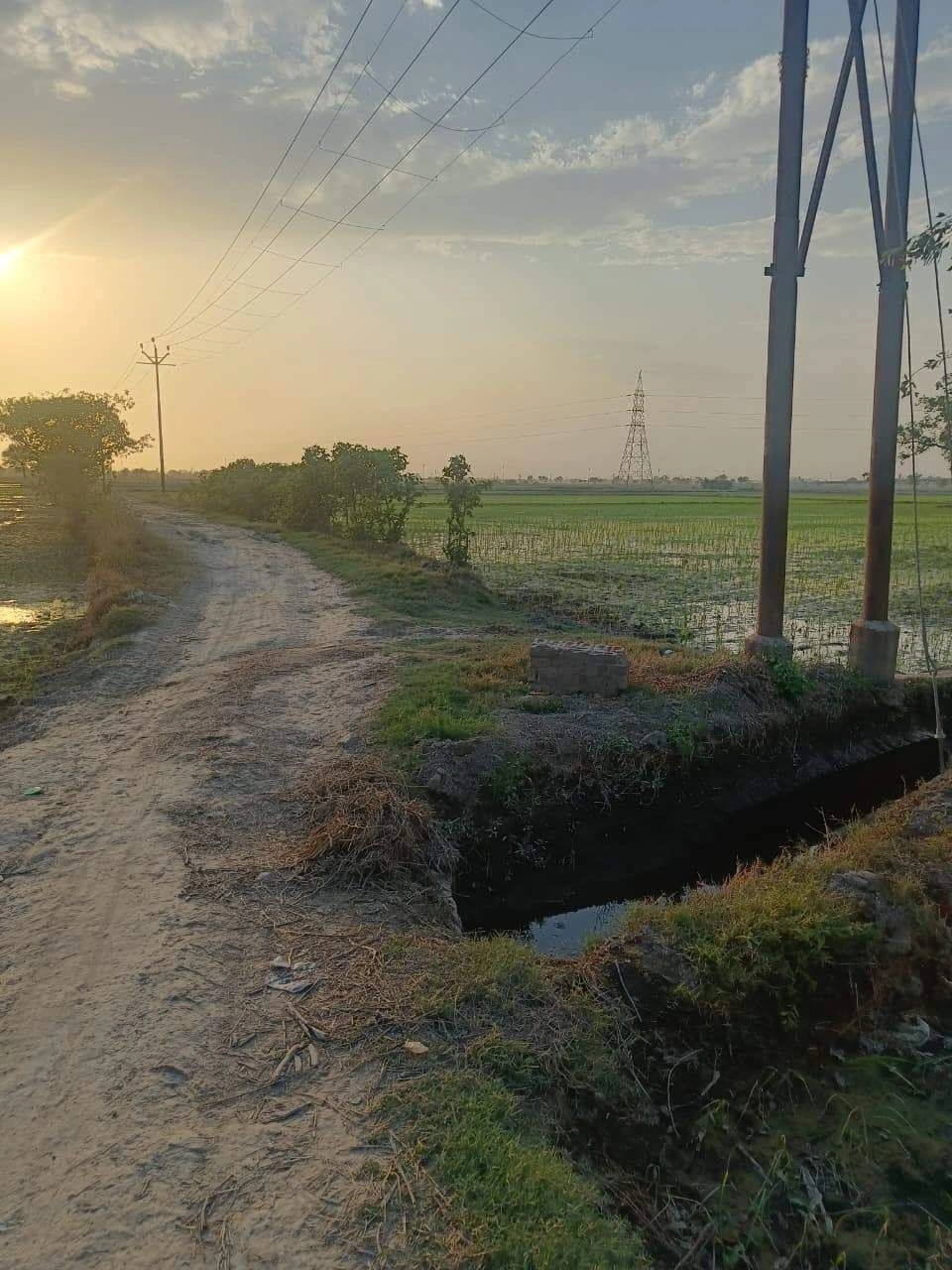 Umra, Rajasthan, India