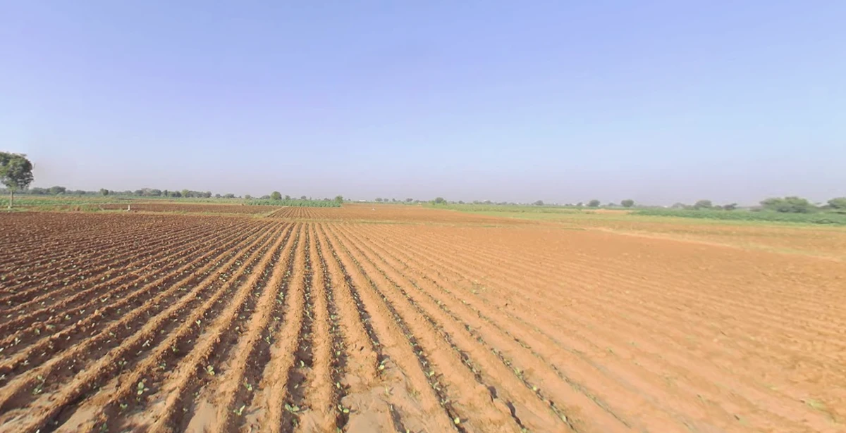 Sodvadar, Gujarat, India