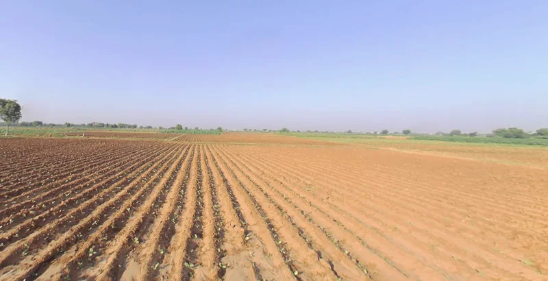 Sodvadar, Gujarat, India preview 3