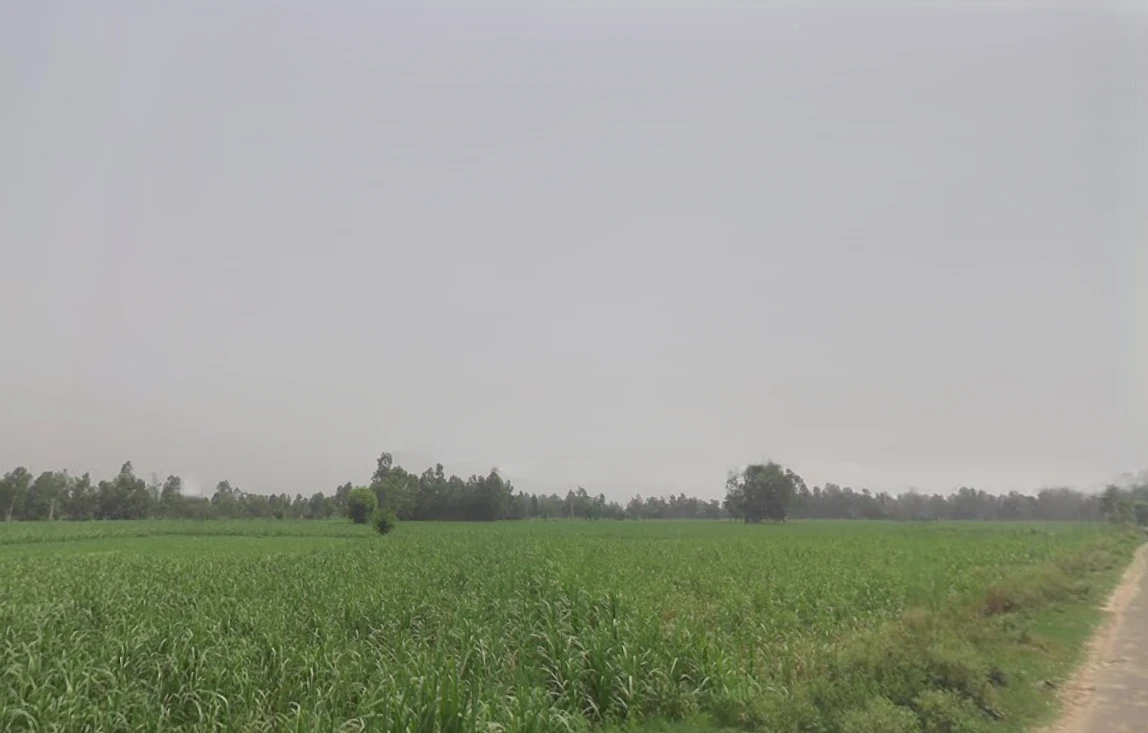 Ground Floor Mamudpur, Naihati, Bora, Mamudpur, West Bengal 743166, India