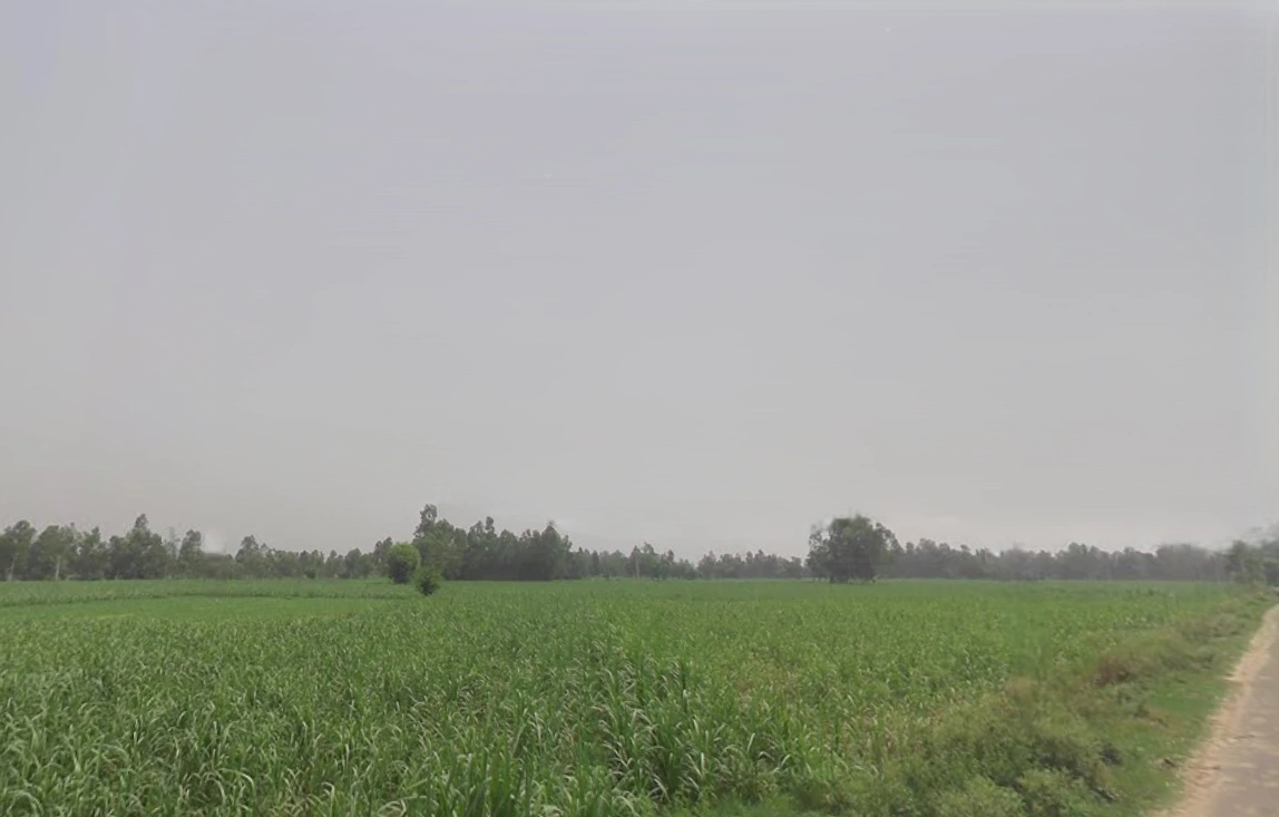 Ground Floor Mamudpur, Naihati, Bora, Mamudpur, West Bengal 743166, India