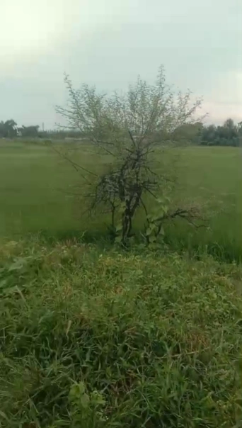 Ghorawal, Sonbhadra, Uttar Pradesh 231210, India