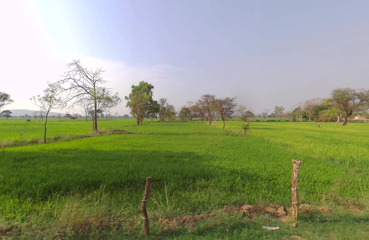 Bhothli, Chhattisgarh 493773, India