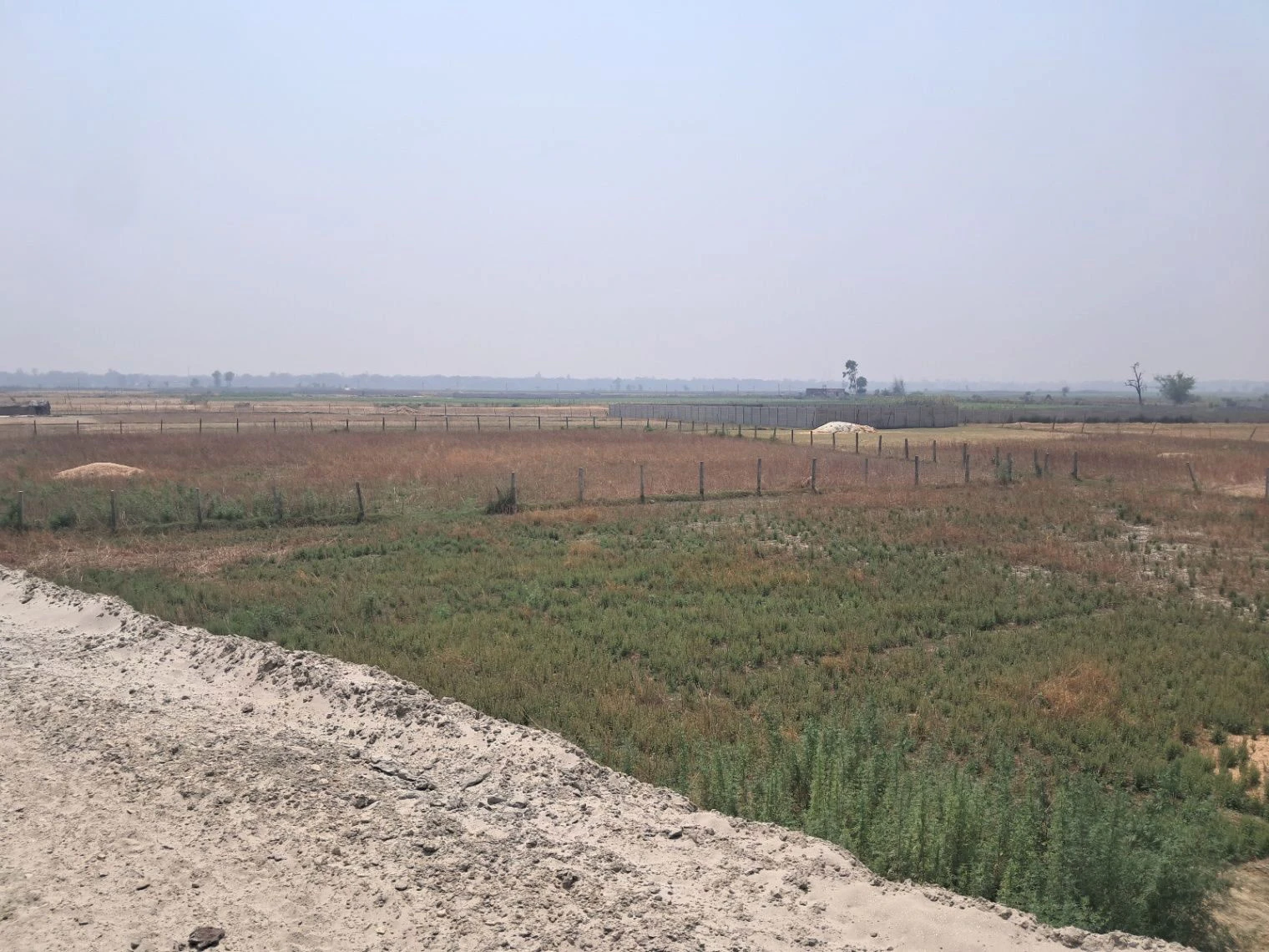 M67G+W2 Kachhauli, Uttar Pradesh, India