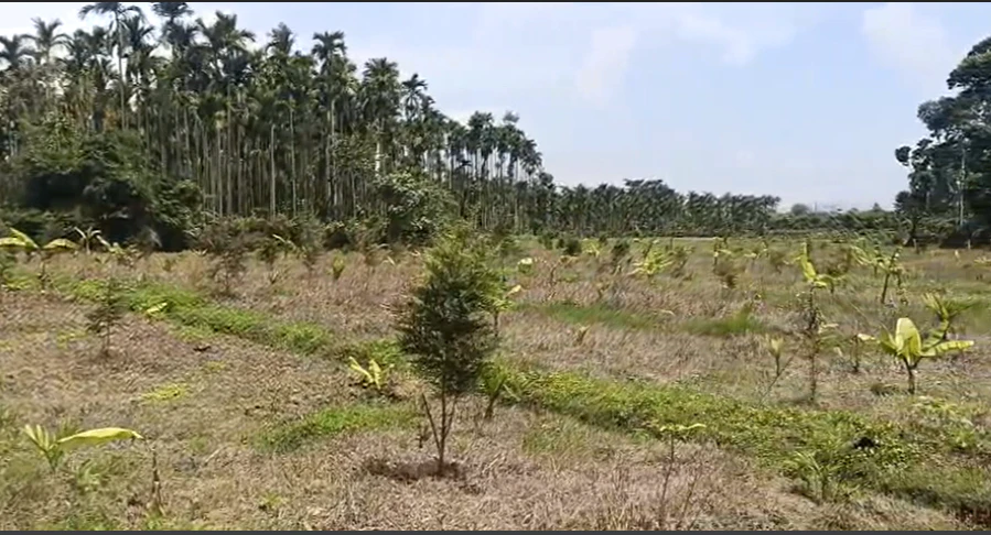 Barkheda, Vidisha, Madhya Pradesh 464001, India