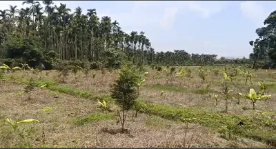 Barkheda, Vidisha, Madhya Pradesh 464001, India preview 3