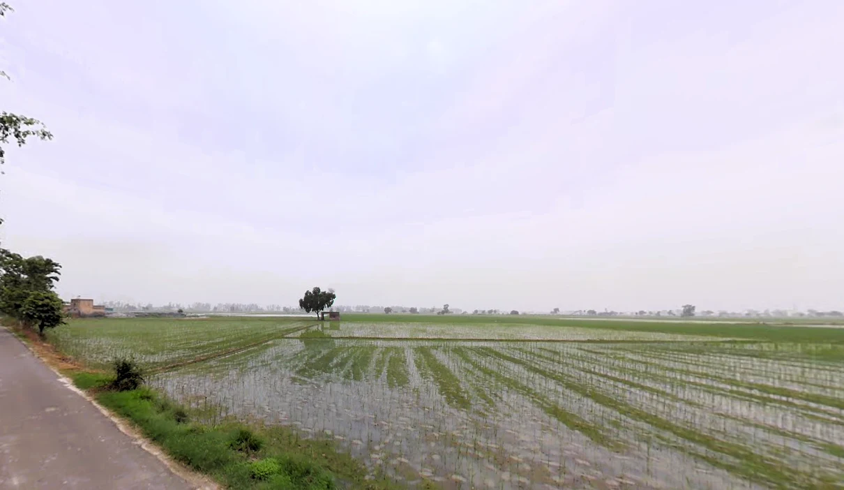Madlauda, Haryana 132113, India