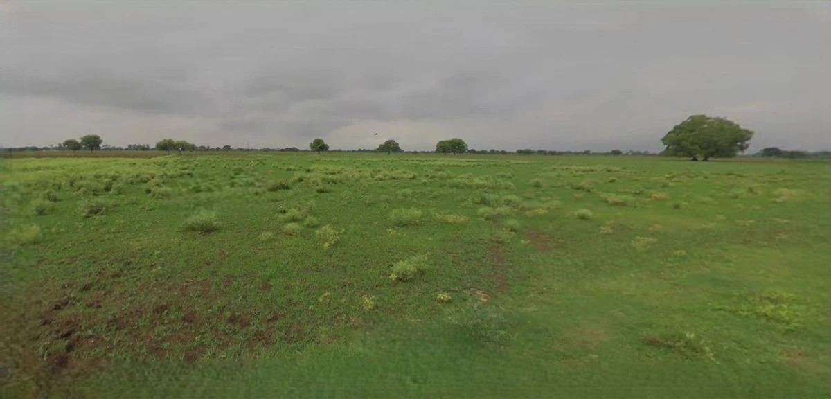 Rohtak, Haryana, India
