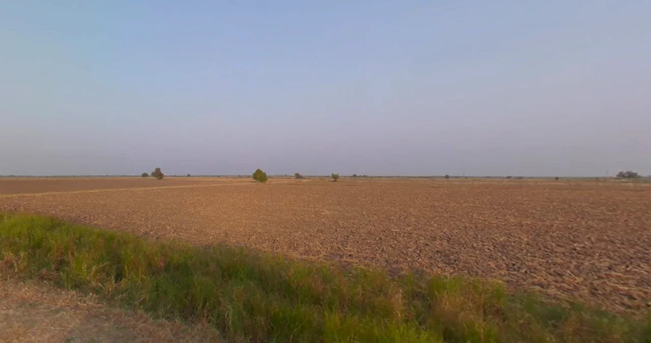 Bamanva, Gujarat 388580, India preview 3