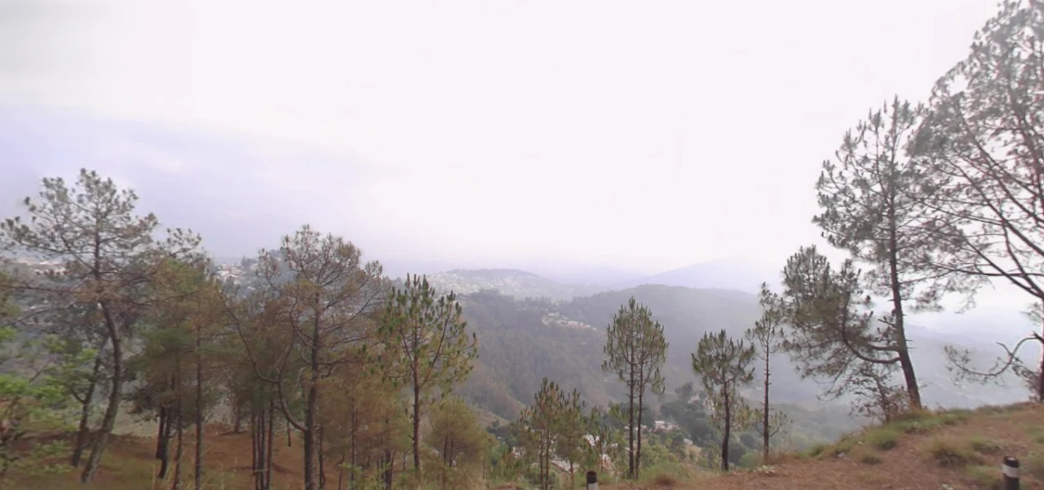 Jalna, Uttarakhand 263625, India preview 3