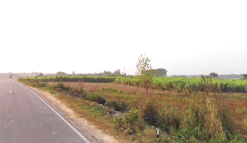Bhagwanpur, Uttarakhand 247661, India