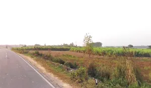 Bhagwanpur, Uttarakhand 247661, India preview 3