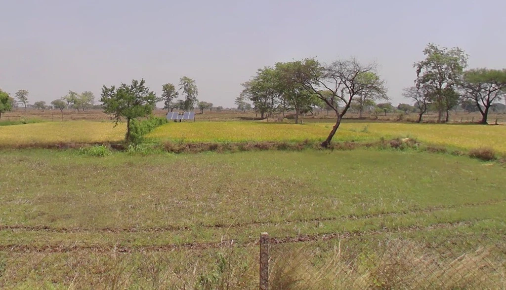 Kharora, Chhattisgarh 493225, India