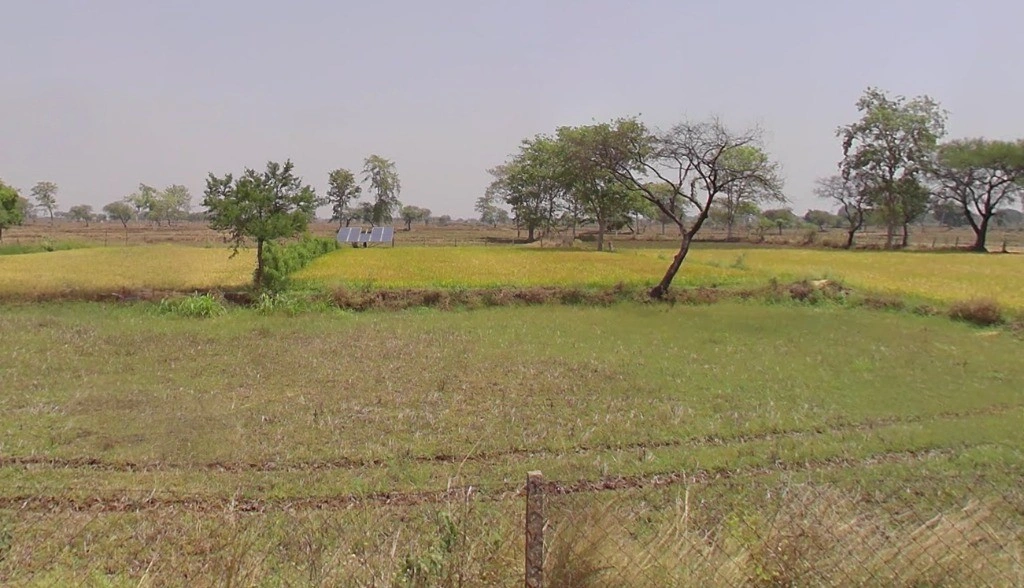 Kharora, Chhattisgarh 493225, India