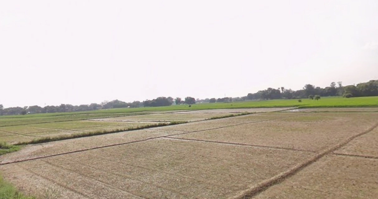 Sanwer, Madhya Pradesh 453551, India