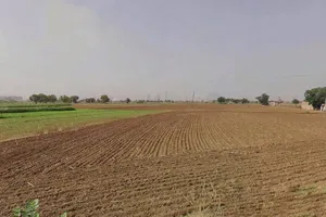5R66+954, Thara, Rajasthan 301018, India preview 3