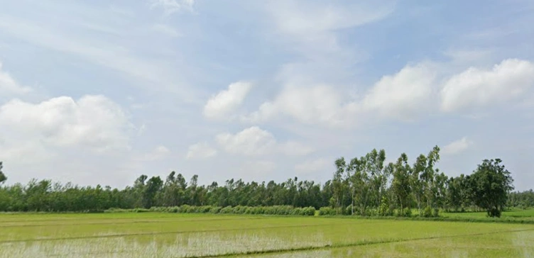 WR3R+7FV, MDR 65W, Sirswan Gaur, Uttar Pradesh 244402, India