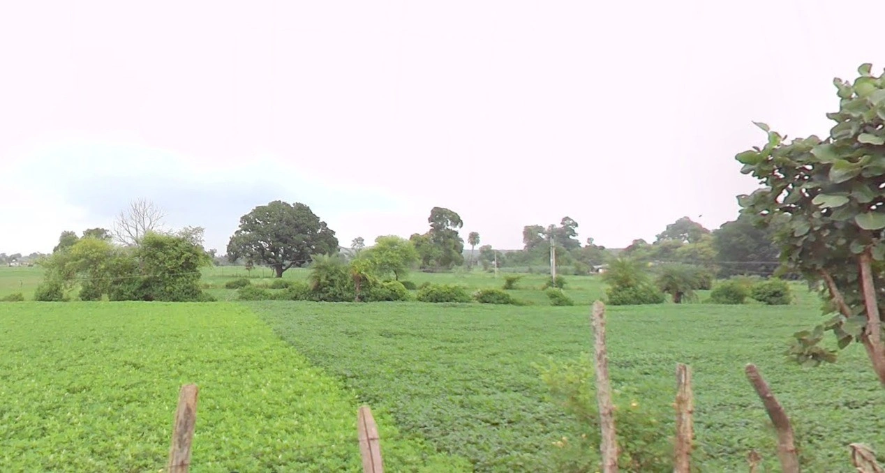 Charka, Madhya Pradesh, India