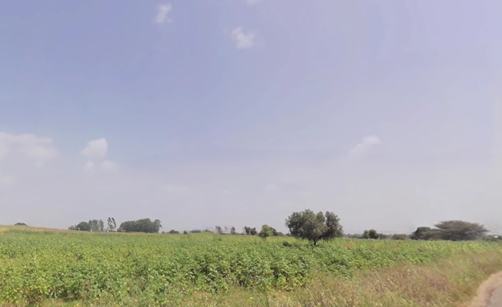 Kheri Bura, Haryana 127306, India