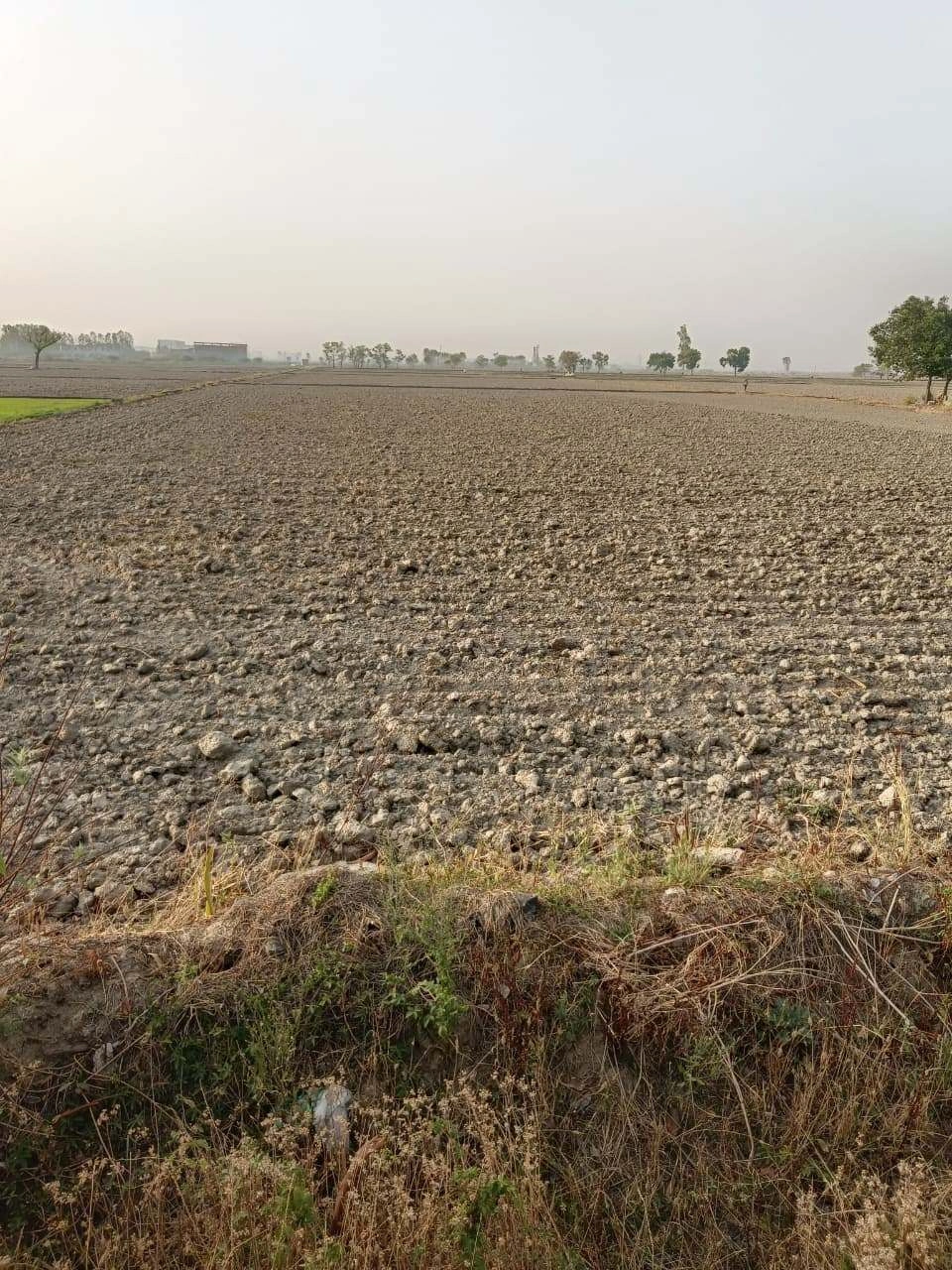 Tentigaon, Uttar Pradesh, India preview 2