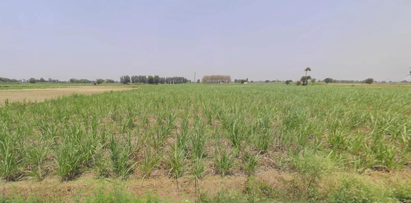 Noida, Uttar Pradesh, India