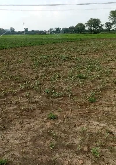 JF5P+C6R, Jhajjar, Godhari, Haryana 124106, India preview 3