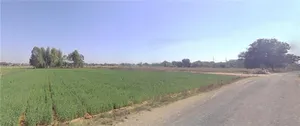 Andada, Gujarat 393010, India preview 3
