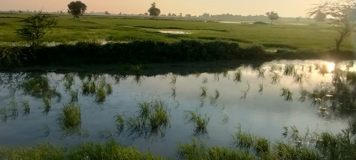 Helak, Rajasthan, India