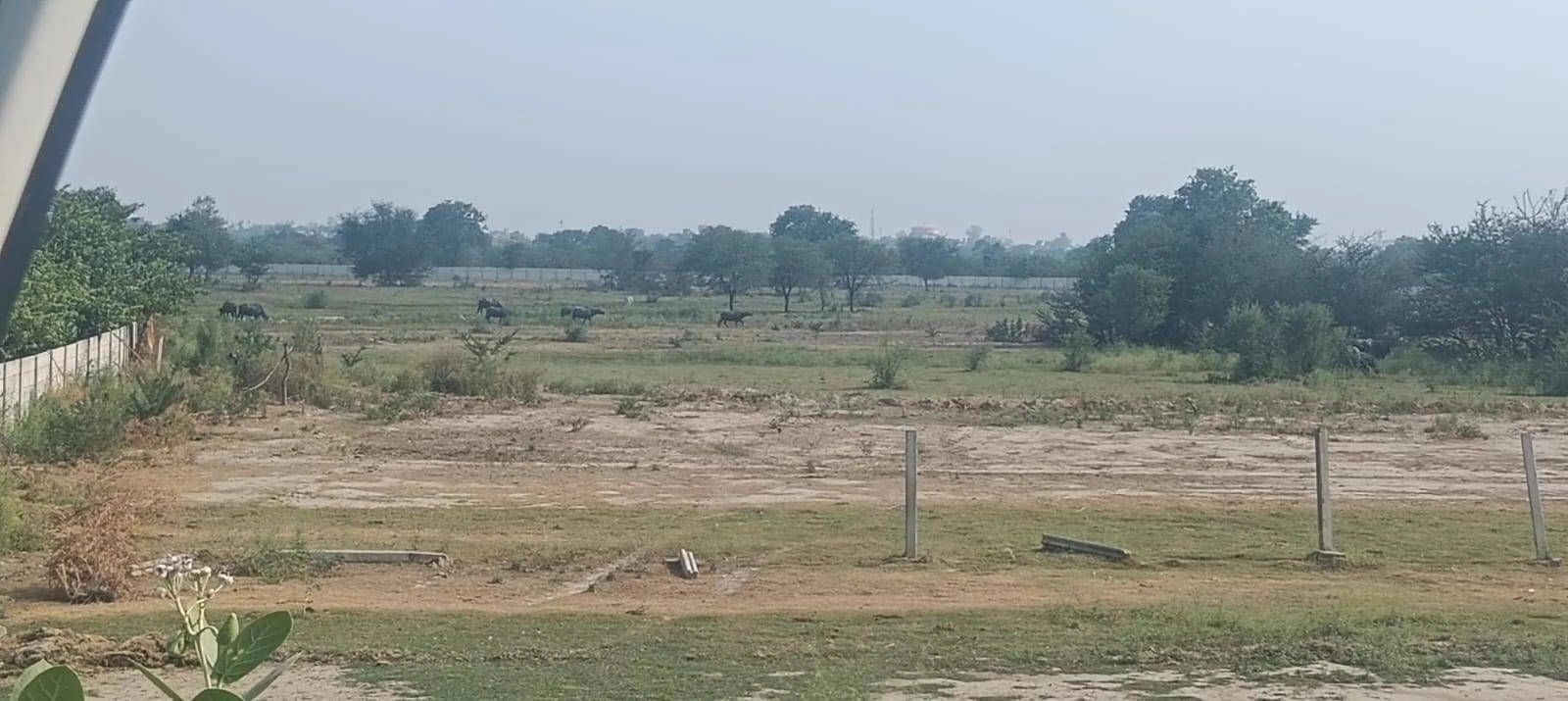 Tekri, Madhya Pradesh 481222, India