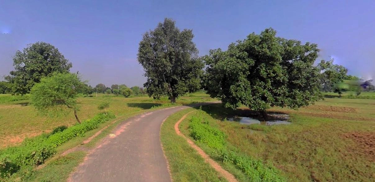 Barnagar, Madhya Pradesh 456771, India