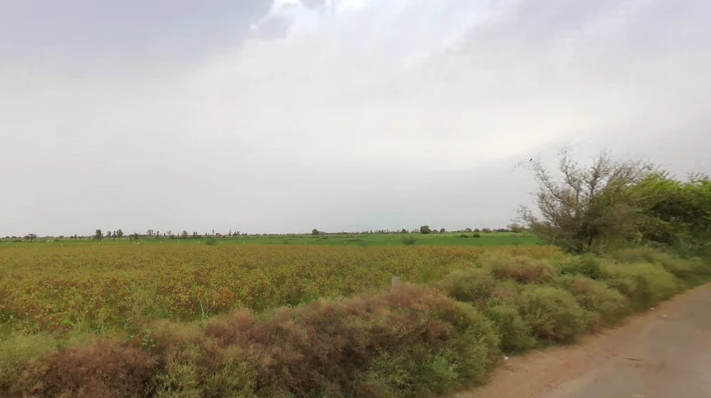 Bigowa, Haryana 127307, India