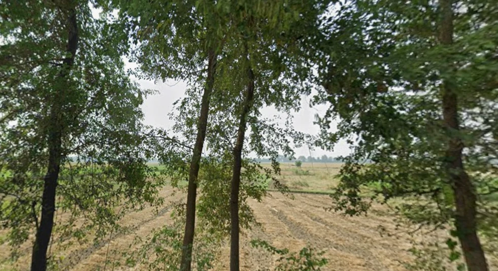 Pitwas, Bihar 804452, India