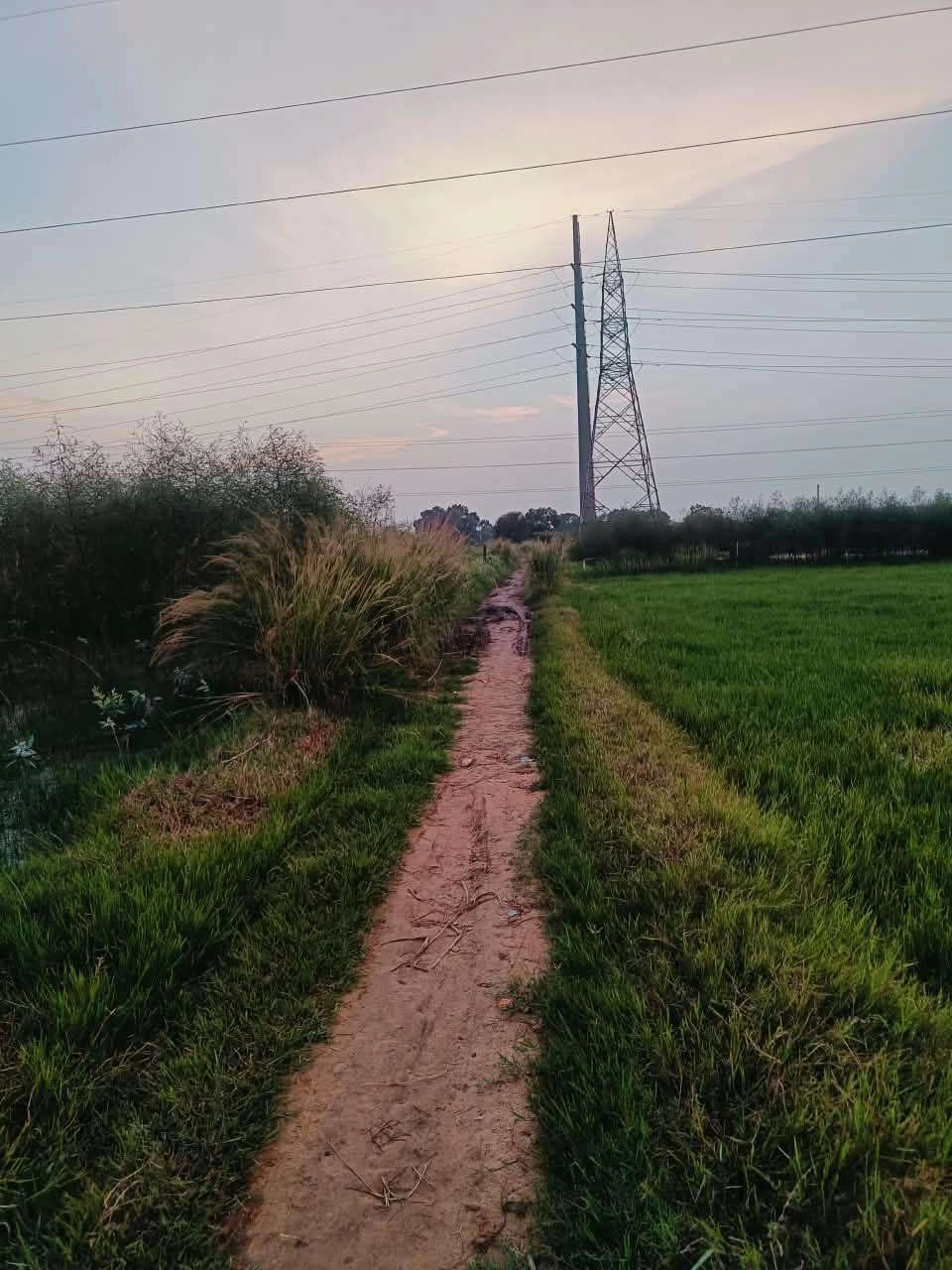 Baraka, Mathura, Uttar Pradesh, India