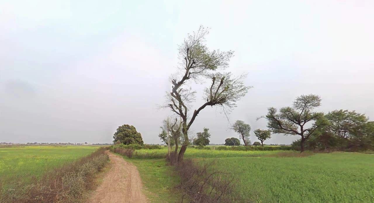 Kemar, Madhya Pradesh, India