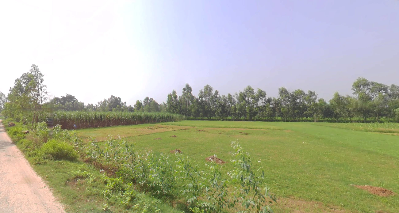 Bharana, Uttar Pradesh 203205, India