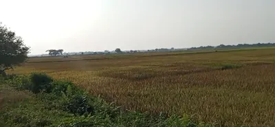 Jatiyana, Rajasthan, India preview 3
