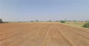 JJWW+FMH, Aslali, Gujarat 387530, India preview 2