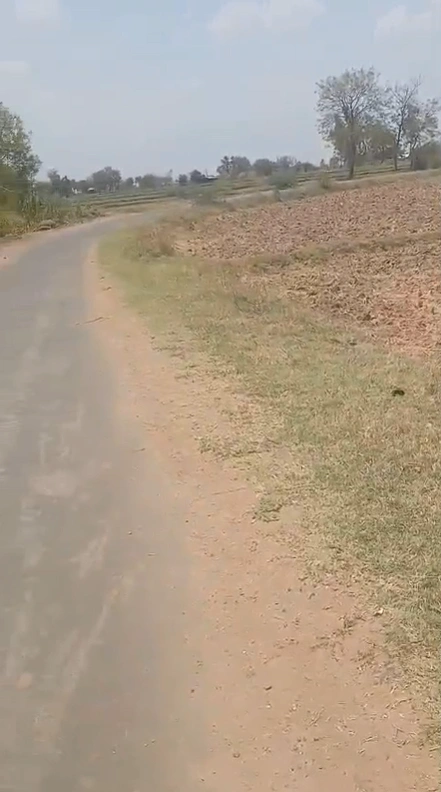 5RR5+W5, Kantaian, Uttar Pradesh 261304, India