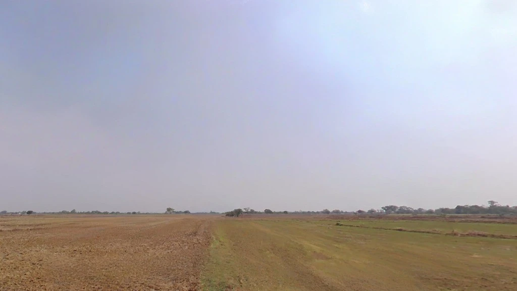 Saoni, Chhattisgarh 491111, India