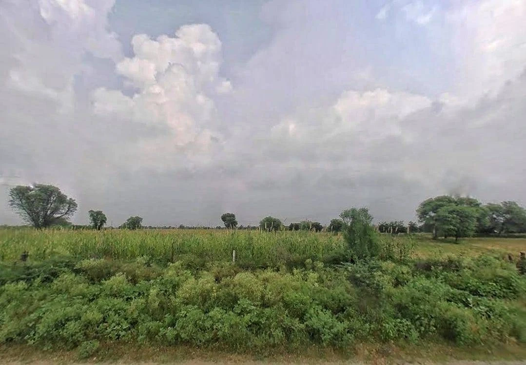 RF6V+Q6F, Jaipur, Rajasthan 303007, India