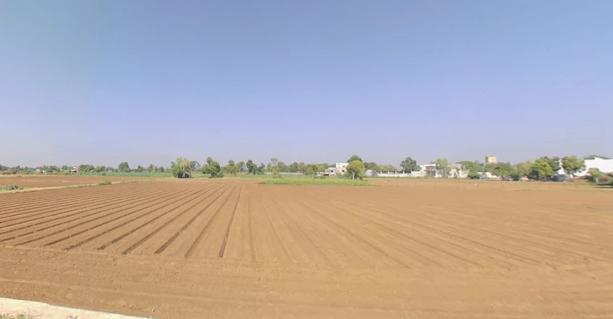 CGQP+9Q Khadiya, Gujarat, India