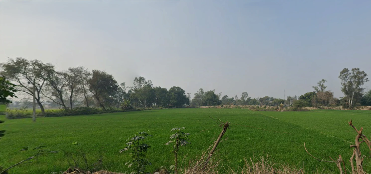 Raipur, Uttar Pradesh 247121, India