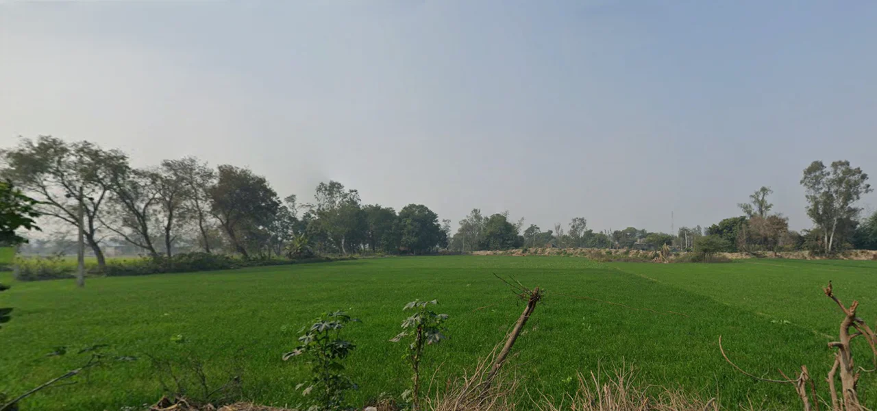 Raipur, Uttar Pradesh 247121, India preview 2