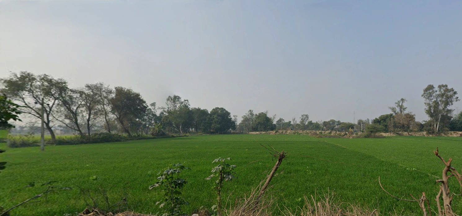 Raipur, Uttar Pradesh 247121, India