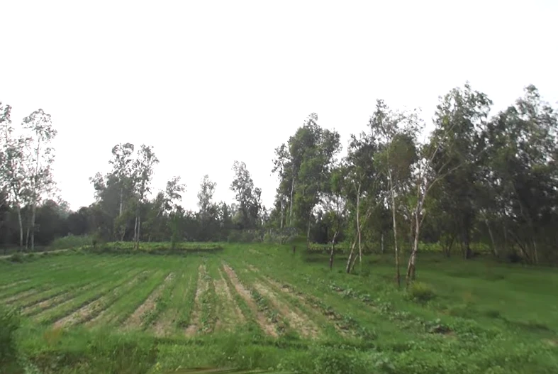 Satpura, Uttar Pradesh 247129, India