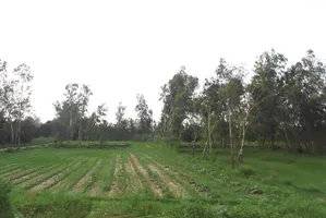 Satpura, Uttar Pradesh 247129, India preview 2