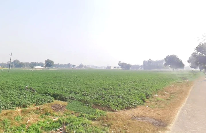 2VCW+RF Chandi Musta, Uttar Pradesh, India