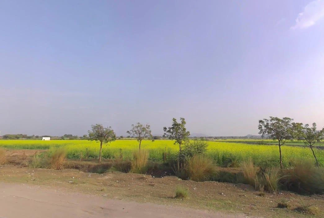 Tonk Rd, Kushtala, Rajasthan 322001, India